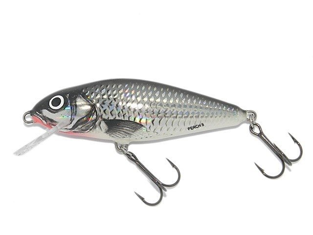 Salmo Perch kopen? Fishing-bait.nl