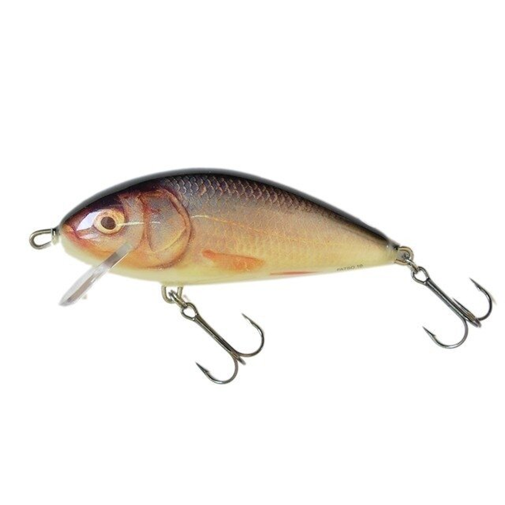 Salmo Fatso Crank 10cm RR F10C-RR – crankbait for Pike, Perch, Zander