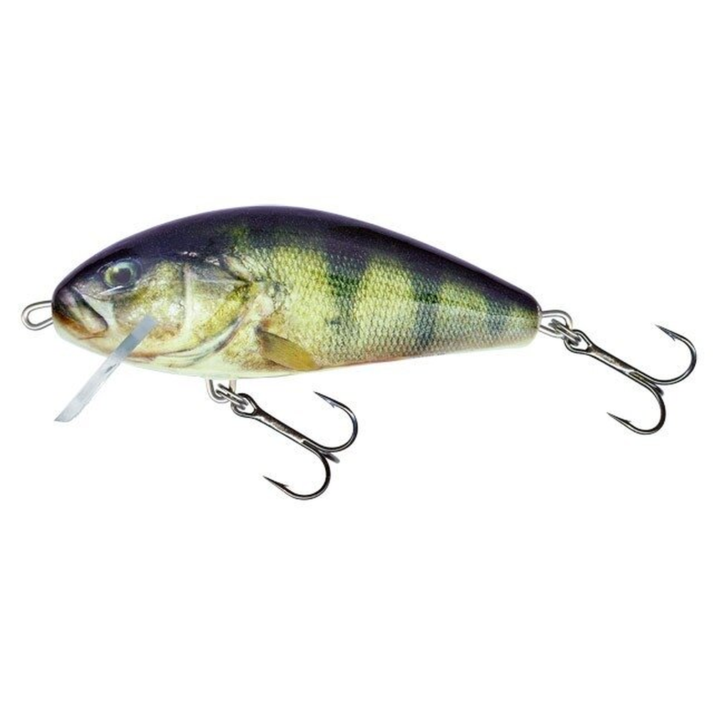 Salmo Fatso Crank 10cm RPH F10C-RPH – crankbait for Pike, Perch, Zander