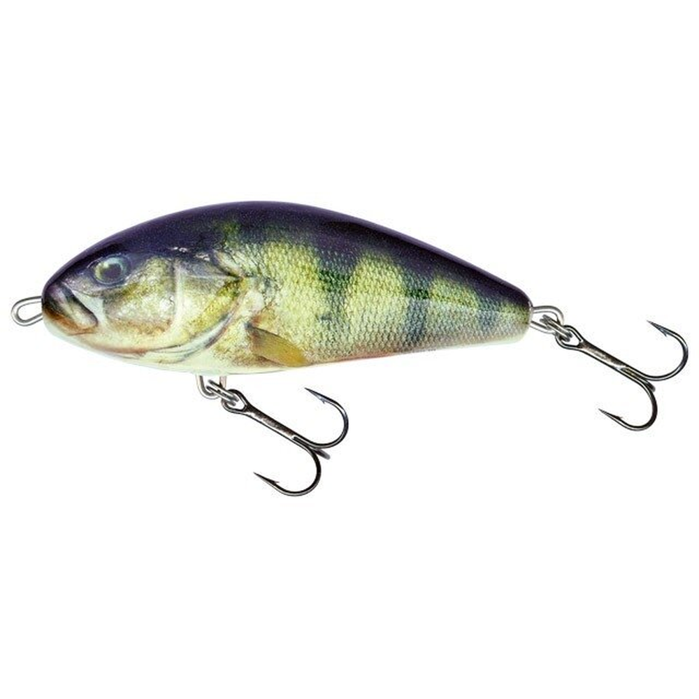 Salmo Fatso 10cm F RPH F10F-RPH – jerkbait for Pike, Perch, Zander