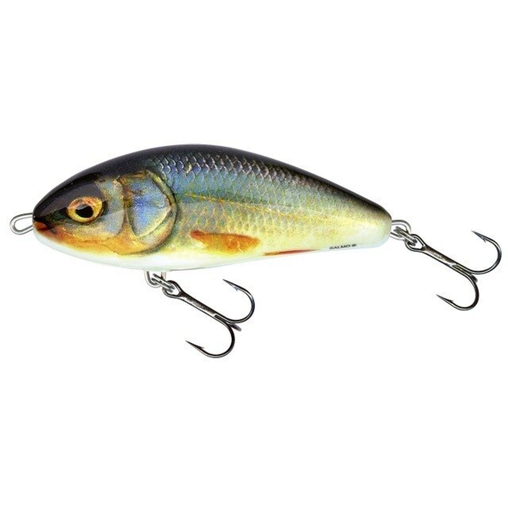 Salmo Fatso 10cm F RR F10F-RR – jerkbait for Pike, Perch, Zander