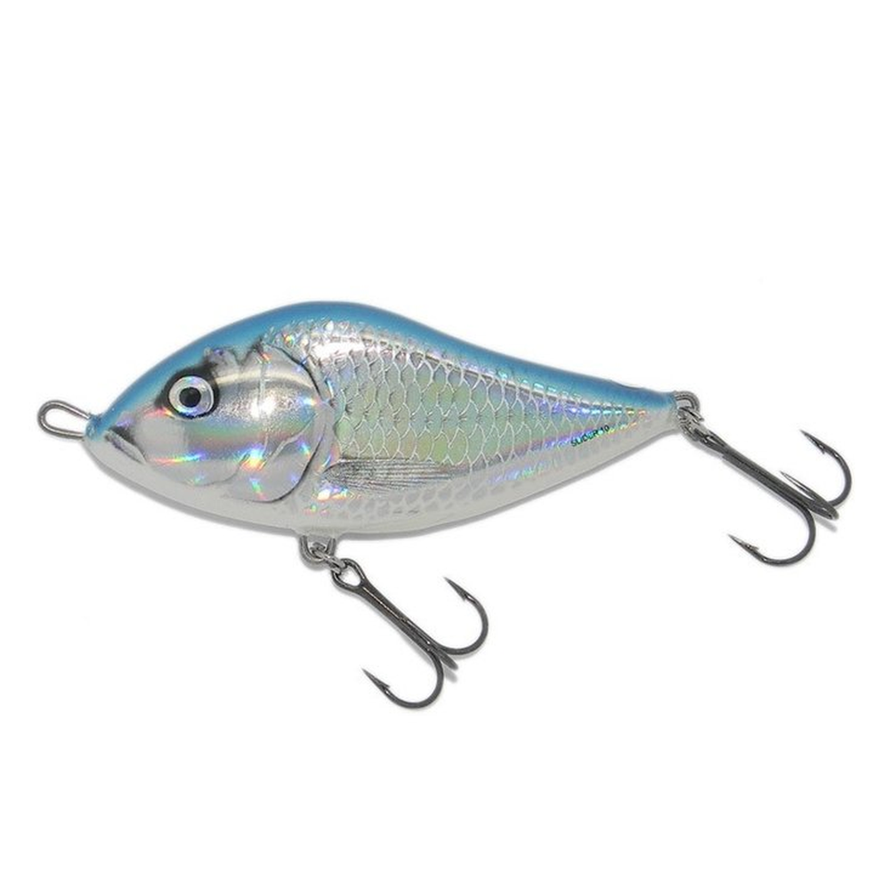 Salmo Slider 10cm HSH SD10F-HSH – jerkbait for Pike, Perch, Zander