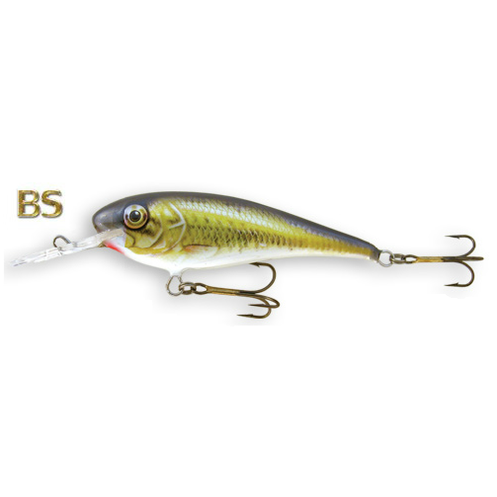 Goldy Troter 7.0 cm TroterF70 – jerkbait for Pike, Perch, Zander